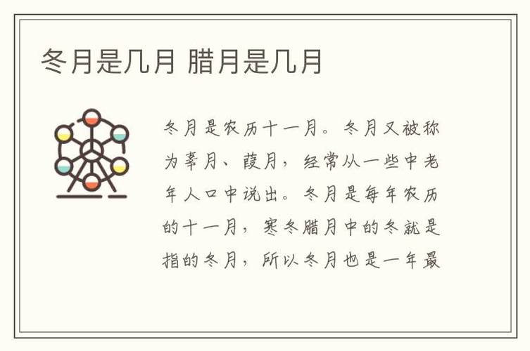 2024年11月14日男宝宝生辰八字揭秘：命运之谜与智慧力量