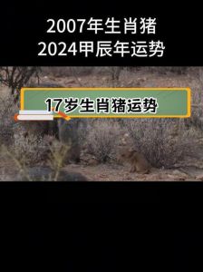 2024年12月生肖运势揭秘：起伏不定，挑战与机遇并存