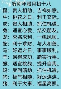 2024年12月28日十二生肖运势详解