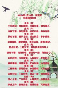 2024年12月28日-2025年1月3日十二生肖运势揭秘
