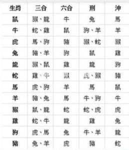 2025星座生肖配对：女性友谊新花绽放！