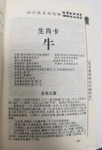 2025年财运指南：星座生肖运势揭秘