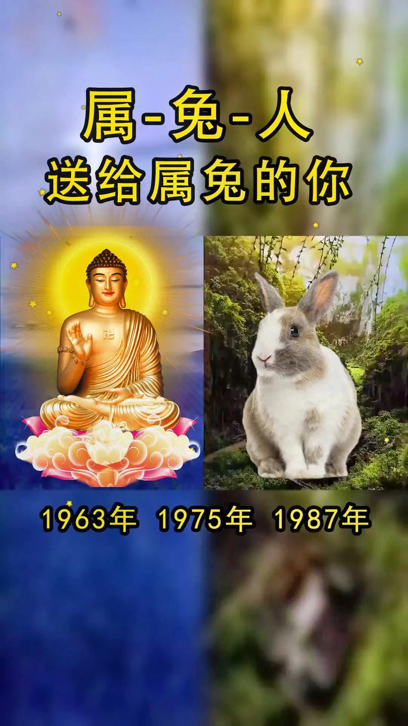 本周天象影响星座运势，抓住时机活出精彩！