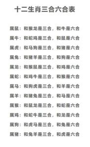 生肖猴八字不合揭秘：婚后易冲突的生肖组合