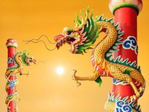 2025年运势大揭秘：四大星座生肖迎好运，事业腾飞！
