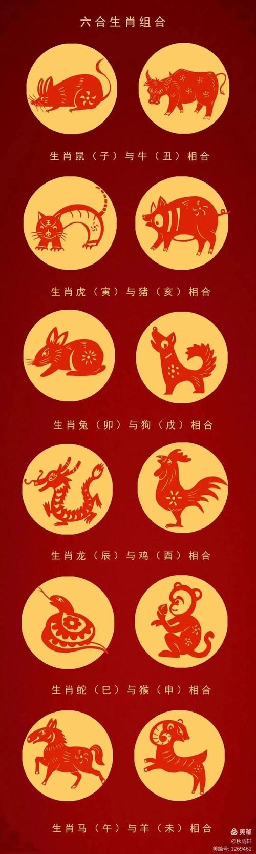 2025年生肖财运大爆发：鼠龙蛇马腾飞机遇！