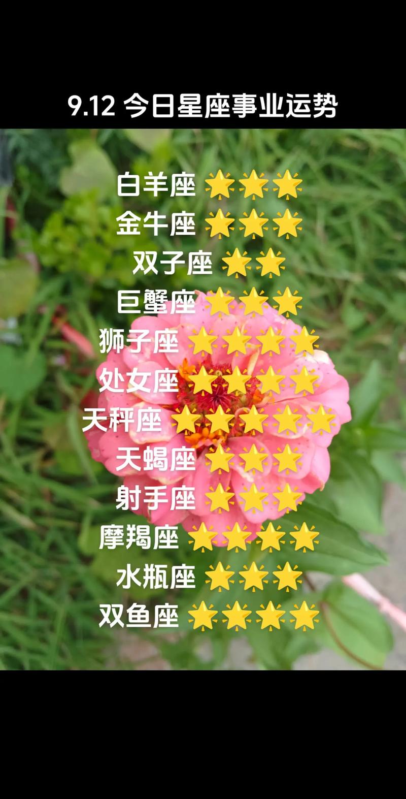 12星座运势翻盘：爱情财运事业惊喜连连！