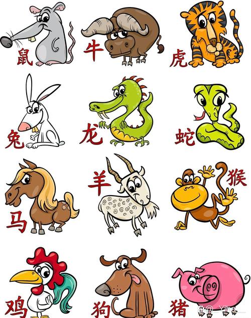春节生肖好运指南：鼠龙猴兔飞跃年！