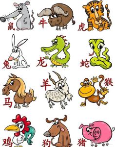 春节生肖好运指南：鼠龙猴兔飞跃年！
