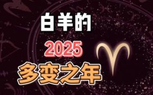 2025生肖星座运势：挑战与机遇并存，各展所长！