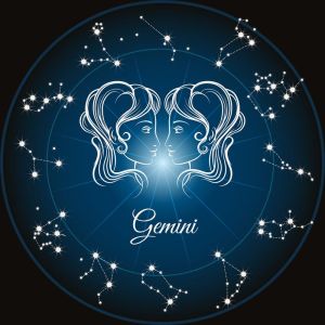 2025年星象福运：白羊金牛双子座猴，财富事业双丰收