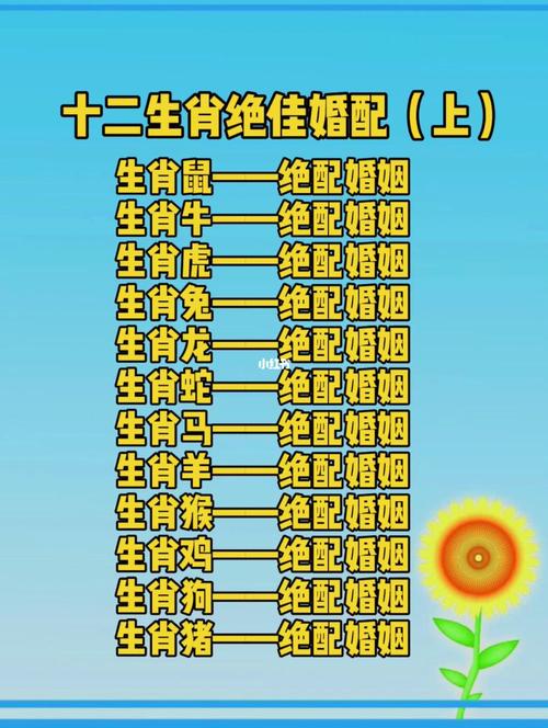 四大生肖爱情探险：龙马猴狗寻真爱之旅