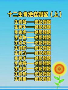 生肖爱情魅力：龙马猴狗勇敢寻爱，收获美好桃花
