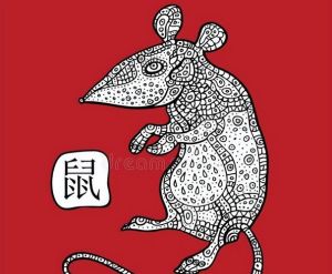 生肖爱情揭秘：鼠猴鸡的折腾哲学，趣味中见真情