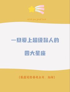 星辰情缘：揭秘星座配对的浪漫之旅