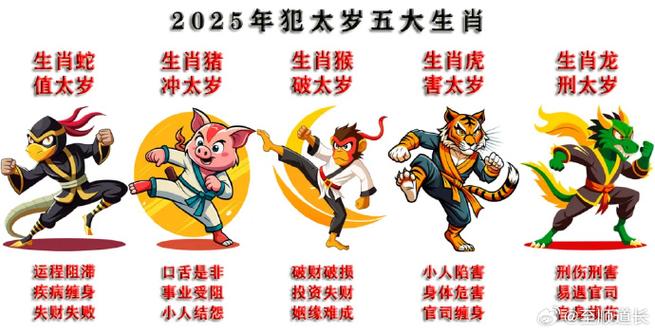 乙巳蛇年运势：机遇与挑战并存，财富事业双赢！