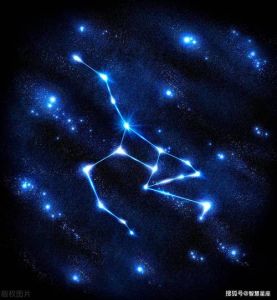 今日星座运势盘点：各具特色，把握机遇！