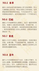2025年运势大爆发：白羊虎天秤兔幸运年指南