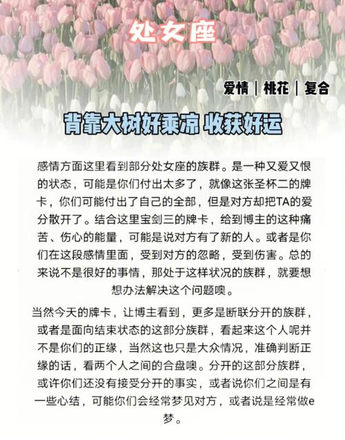 四大星座寒冬逆袭：坚韧与活力启示录