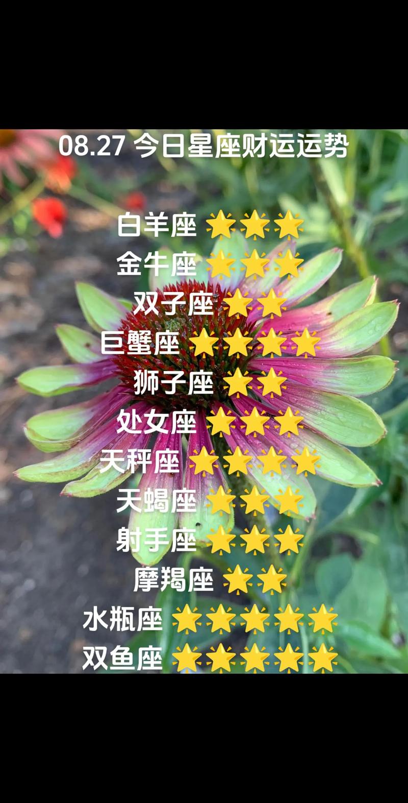 2025年四大星座运势：白羊双子狮子摩羯好运来袭！