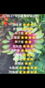 2025年四大星座运势：白羊双子狮子摩羯好运来袭！