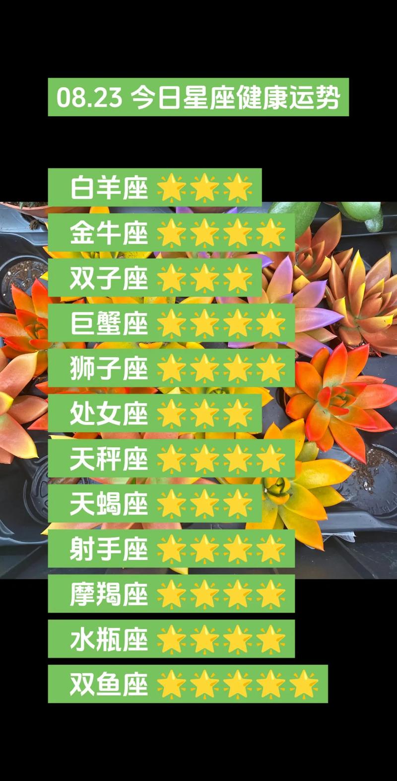 2025年星座财运大爆发：白羊金牛双子狮子运势高潮！