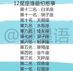 十二星座职场优势揭秘：如何成为职场佼佼者？
