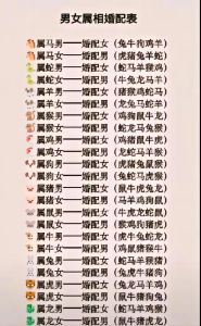2025年：鼠虎兔蛇猴运势爆发，事业爱情双丰收！
