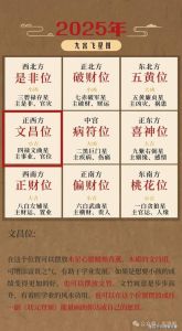 2025生肖运势揭秘：财路亨通，挑战并存！