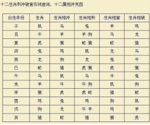 12月生肖好运指南：鼠牛龙猴丰收季