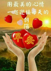12月29日生肖运势盘点：开启美好新篇章