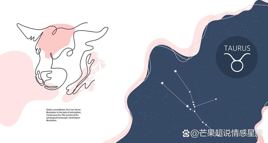 2025年星座生肖职场学业飞跃：白羊虎猴处女的蜕变之旅