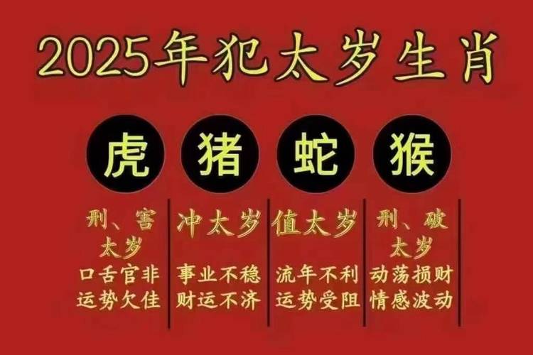 2025生肖财运解析：抓住时机，书写财富故事