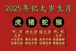 2025生肖财运解析：抓住时机，书写财富故事