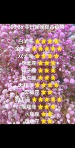 2025年生肖星座运势揭秘：白羊狐狸座大逆袭！