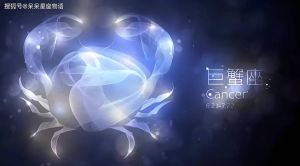 2025生肖星座爱情新篇章：白羊金牛狮子双鱼的浪漫之旅