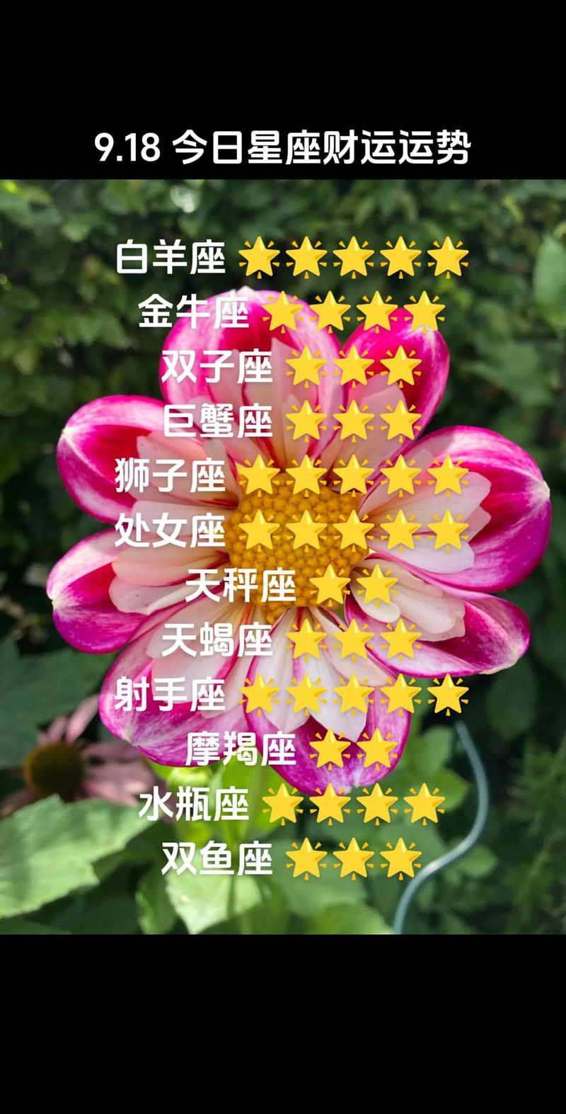四大星座好运来临：事业学业双丰收，处女座升职金牛座突破！