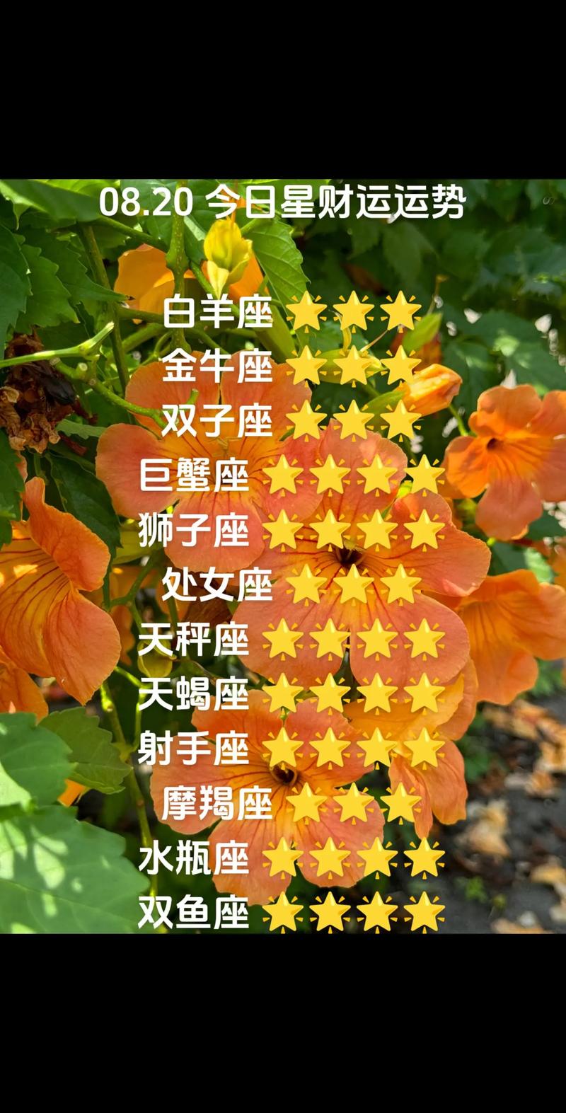 2025年运势揭秘：白羊龙处女猴生肖特别受益！
