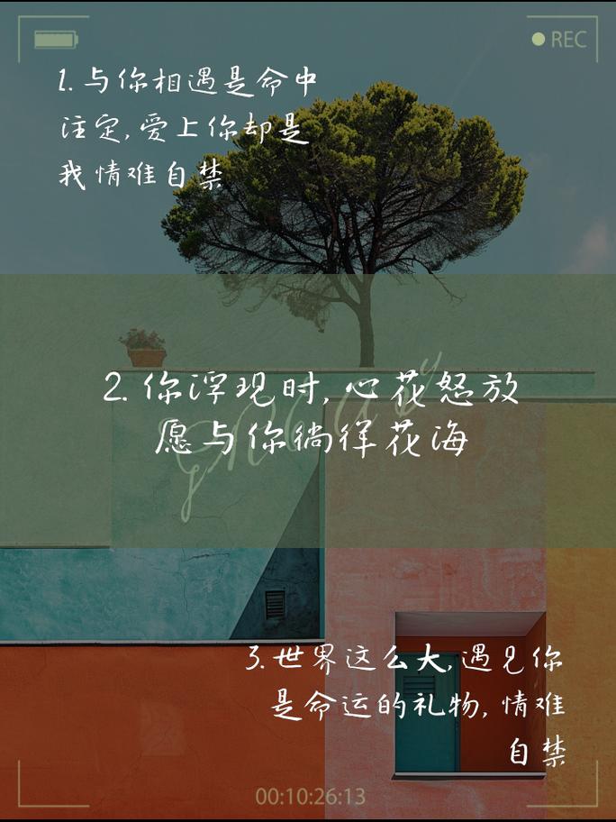 浪漫表白金句集：打动心爱的人的暖心话语