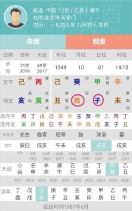 乙巳蛇年狗狗好运指南：抓住机遇，开启幸福人生！