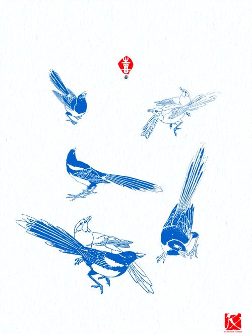 喜鹊：十大吉祥预兆，好运来临的使者