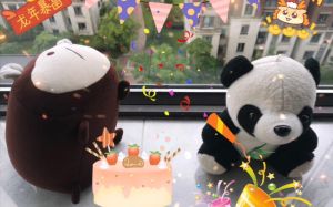 本周日四生肖运势爆棚：龙马猴猪享美好时光！