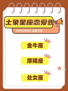 土象星座职场搭档：金牛座摩羯座携手双子座处女座，共赢事业辉煌