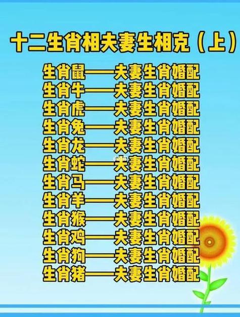 揭秘：哪些生肖女性晚年最享福，秘诀在此！