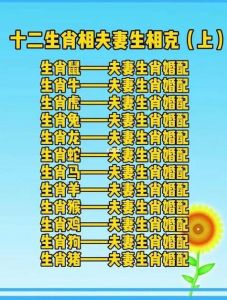 揭秘：哪些生肖女性晚年最享福，秘诀在此！
