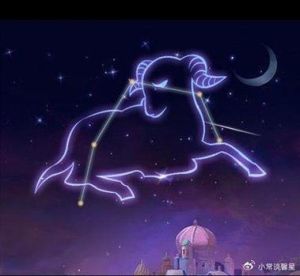 2025年生肖星座运势揭秘：抓住机遇，书写辉煌！