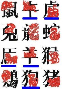 2025年星座运势：白羊金牛双子龙生肖逆袭翻盘年