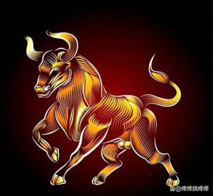 12月31日生肖运势大爆发：努力与机遇的交汇点
