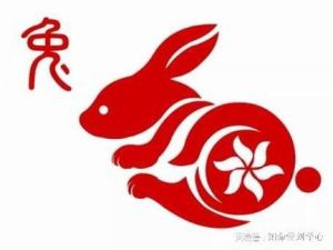 属兔人爱情智慧：和谐温馨的生肖爱情观