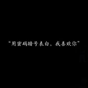 高级暗语解码：情感思念的艺术表达